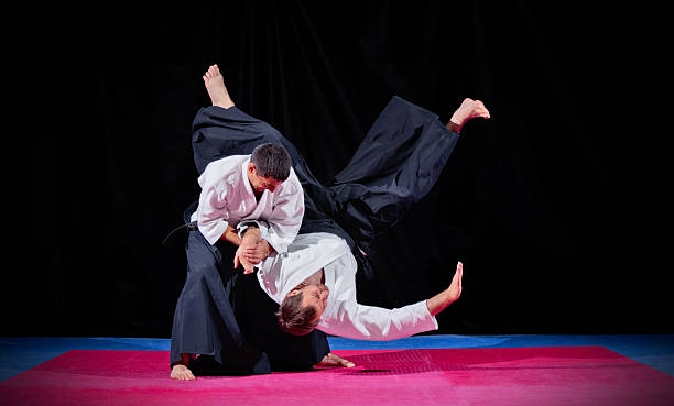 lucha entre dos guerreros aikido